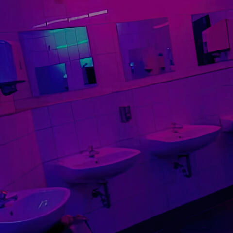 Sexo en el Baño