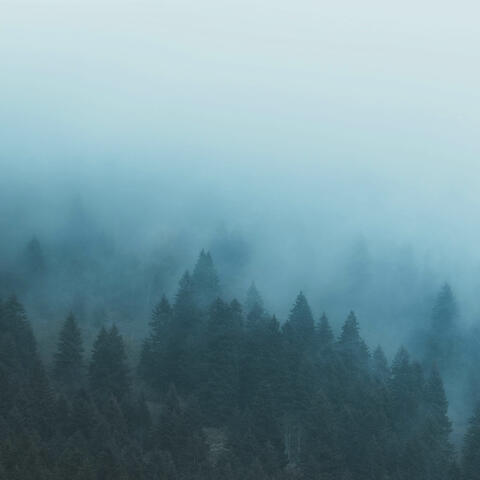 Ethereal