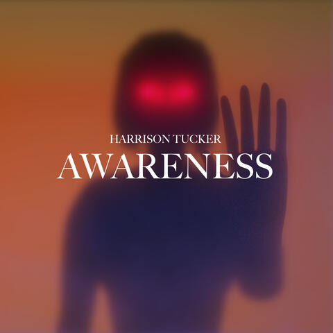 Awareness