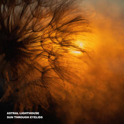 Sun Through Eyelids