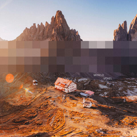 Voxel