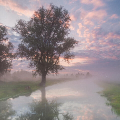 Creek