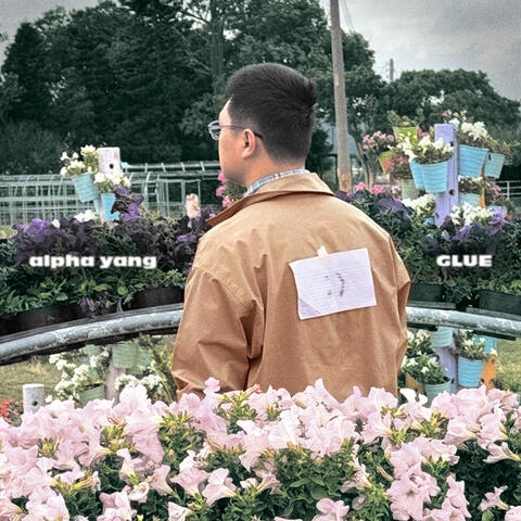 Glue