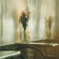 Epilogue - What if you hadn't died in Arizona?