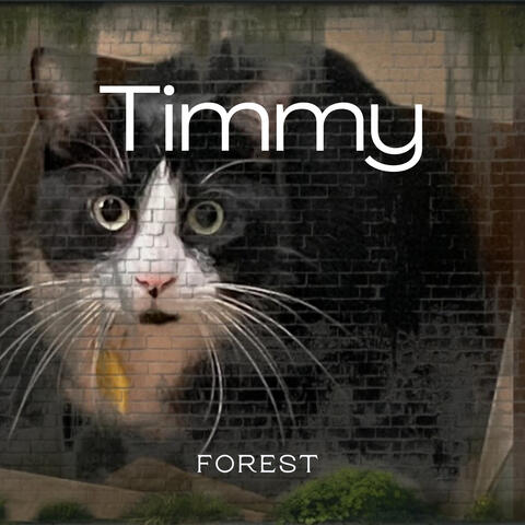 Timmy