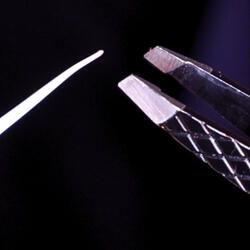 Flicking Both Ears, Spikes & High-Click Textures