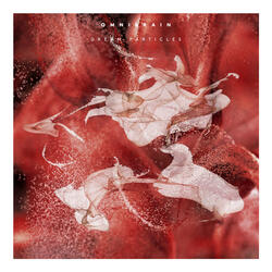 Dream Particles