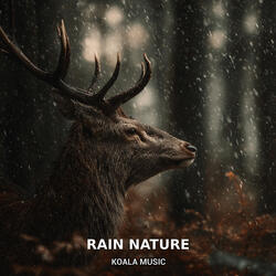 Rain Nature Ambience – Soothing Forest Rain for Relaxation, Pt.8
