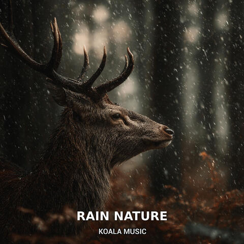 Rain Nature