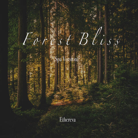 Forest Bliss (Spa Version)
