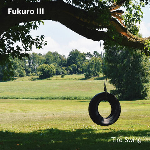 Tire Swing