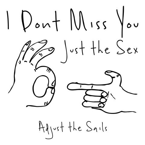 I Don't Miss You, Just the Sex
