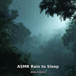ASMR Rain to Sleep – Relaxing Night Rain Ambience, Pt.31