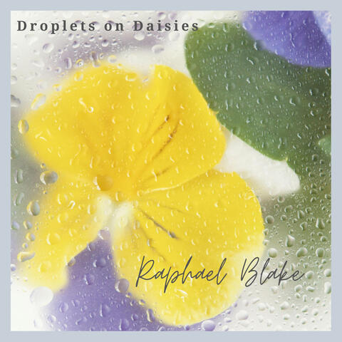 Droplets on Daisies