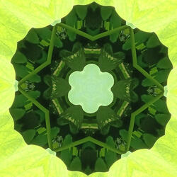 Angelic Choir of Light: 444 Hz Divine Protection & Guidance