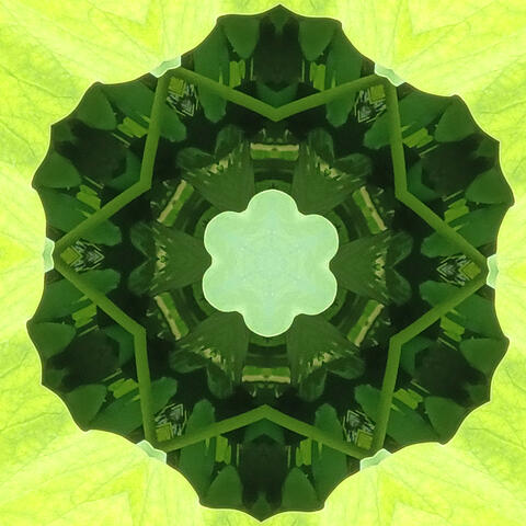 Golden Light Meditation: Angelic Drones