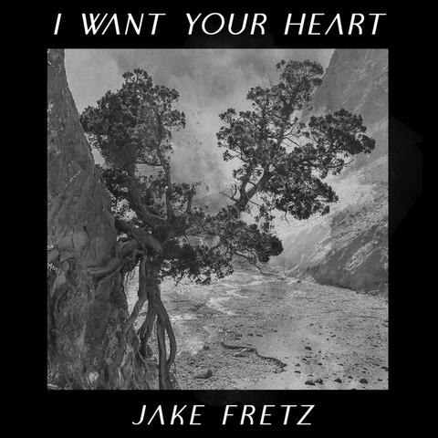 I Want Your Heart