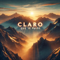 Claro que se puede