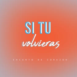 Si Tu Volvieras
