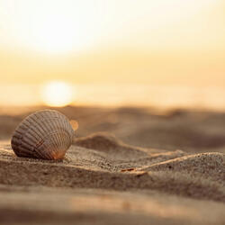 Embracing Life's Lessons