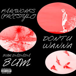 Fireworks (Freestyle)