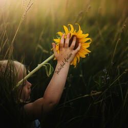 Pocketful of Sunshine