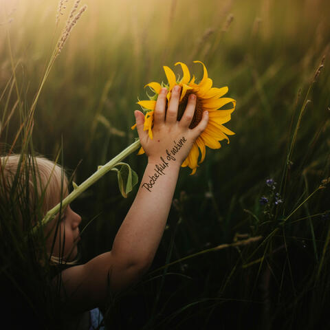 Pocketful of Sunshine