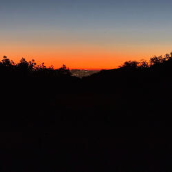 Whispering Horizon