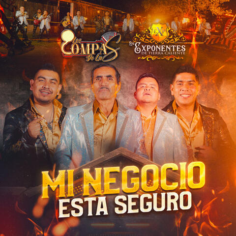 Mi Negocio Esta Seguro