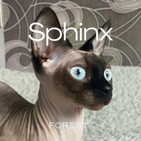 Sphinx