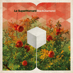 Black Diamond