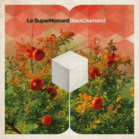 Black Diamond