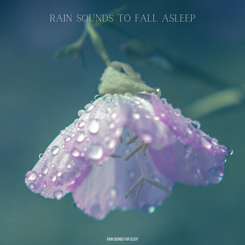 Rain Sounds To Fall Asleep