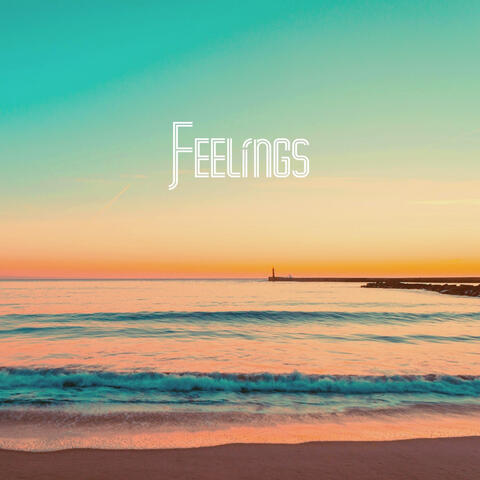 Feelings