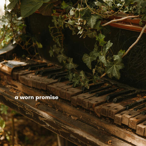 a worn promise