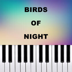 Bird of Night