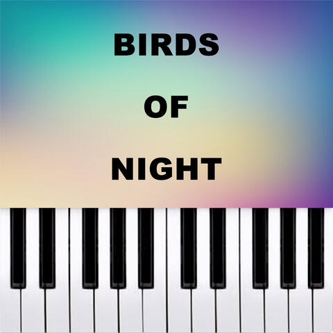 Bird of Night