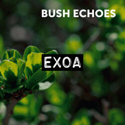 Bush Echoes