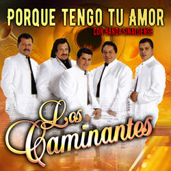 Porque Tengo Tu Amor