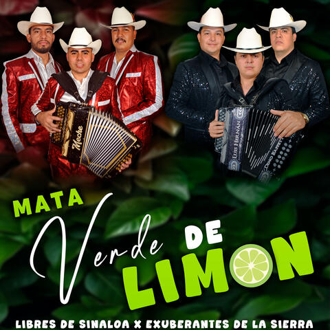 Mata Verde De Limon