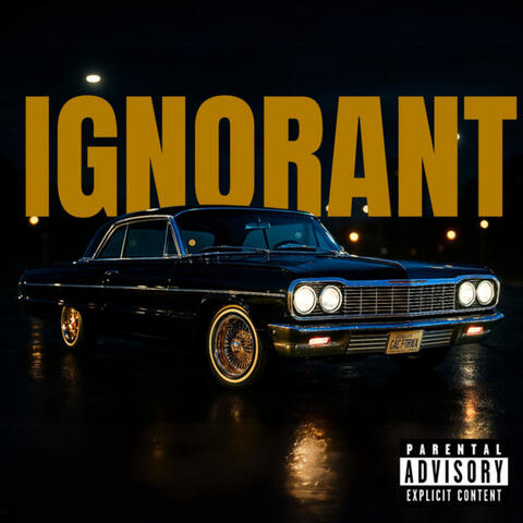 Ignorant
