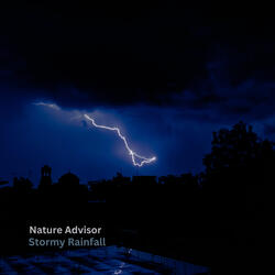 Stormy Rainfall