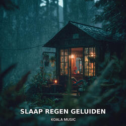 Rustige slaap regen geluiden met natuurgeluid, Pt.5