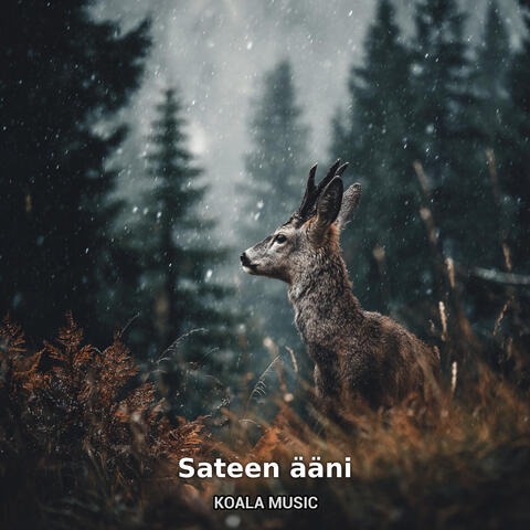 Sateen ääni