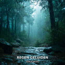 Natuurlijke regen geluiden voor rust, Pt.6