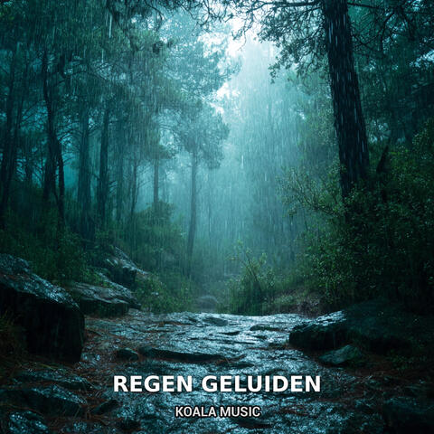 Regen geluiden