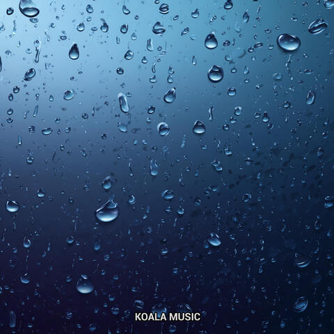 Night Rain