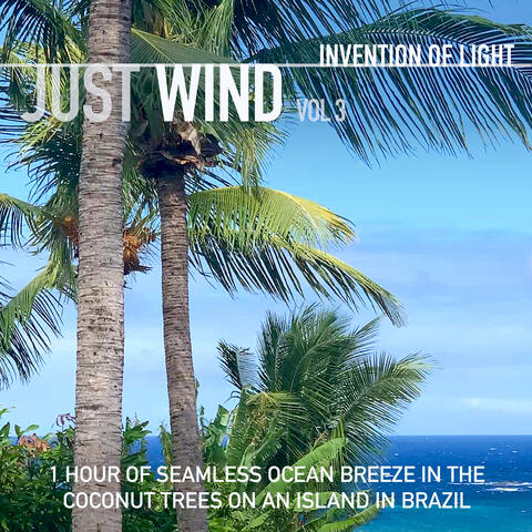 Just Wind Vol 3: 1 Hour of Seamless Ocean Breeze in the Coconut Trees on an Island in Brazil
