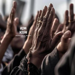 Aim High