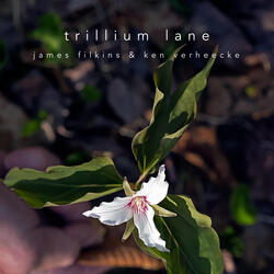 Trillium Lane